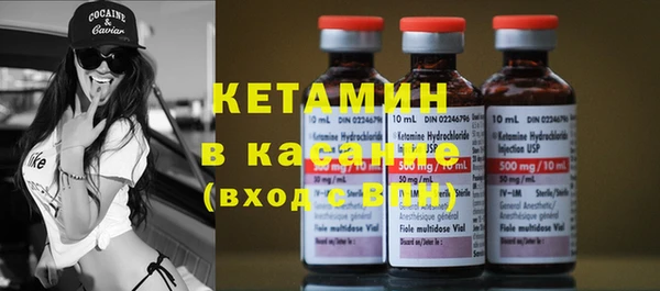 крисы Алексин
