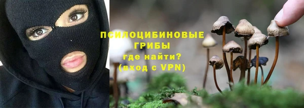 стафф Алзамай